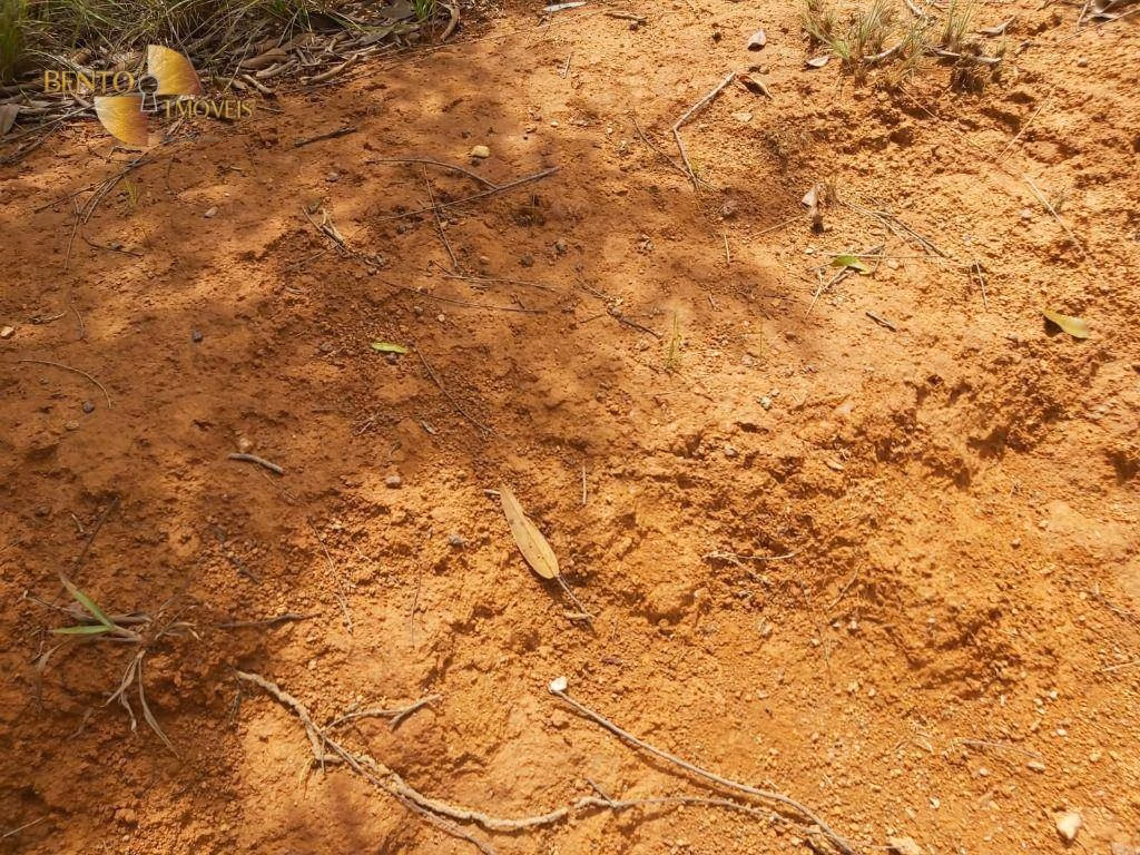 Fazenda de 1.000 ha em Poconé, MT