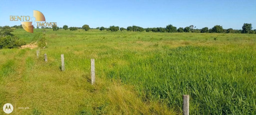 Fazenda de 1.000 ha em Poconé, MT