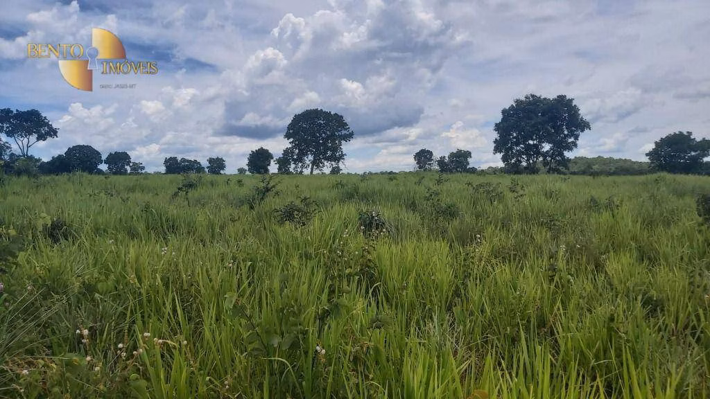 Fazenda de 1.000 ha em Poconé, MT