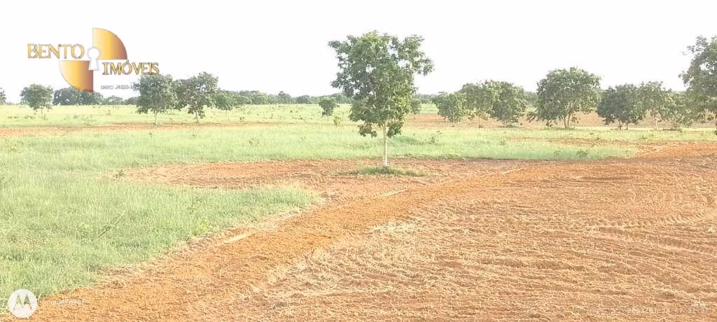 Fazenda de 1.000 ha em Poconé, MT