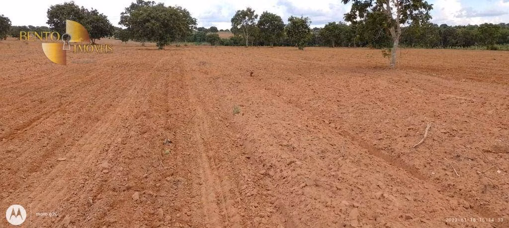 Fazenda de 1.000 ha em Poconé, MT
