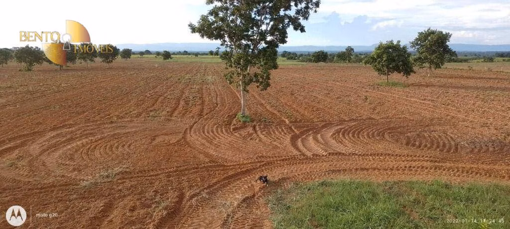 Fazenda de 1.000 ha em Poconé, MT