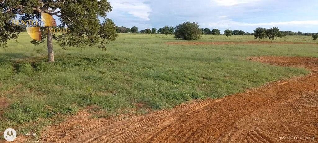 Fazenda de 1.000 ha em Poconé, MT