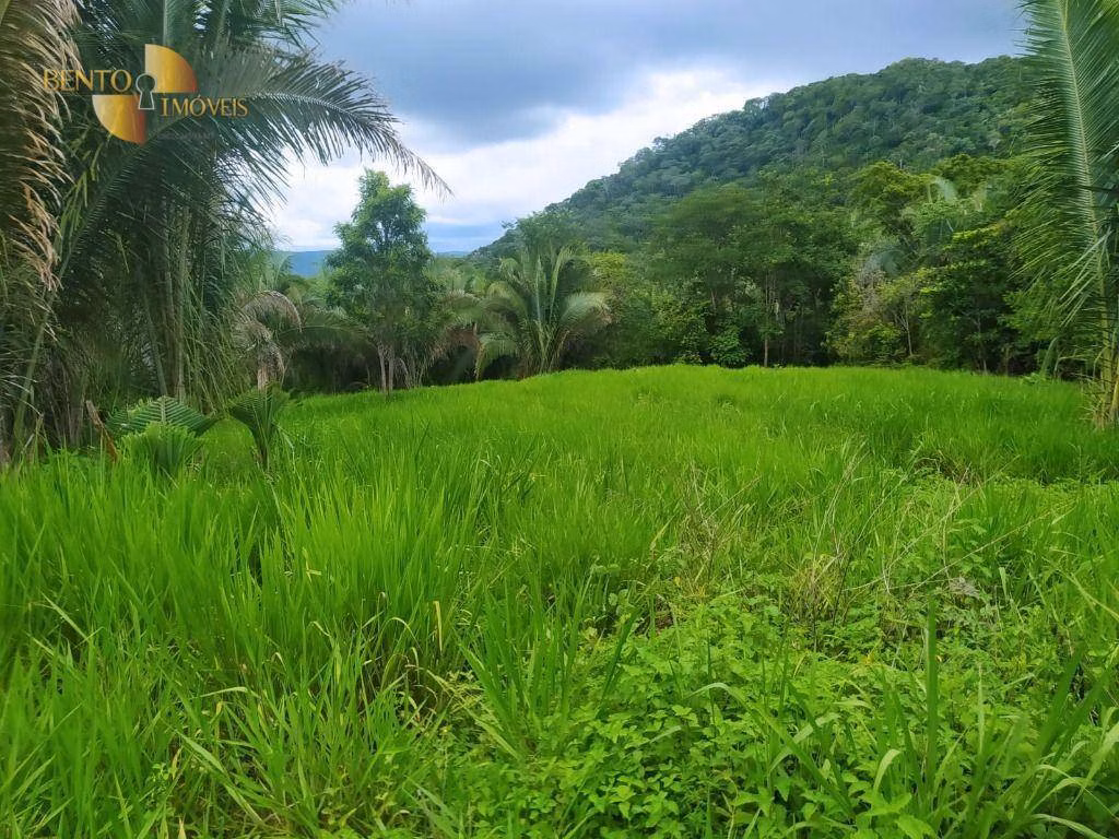 Fazenda de 100 ha em Cuiabá, MT