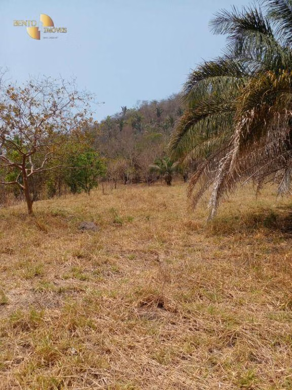 Fazenda de 100 ha em Cuiabá, MT