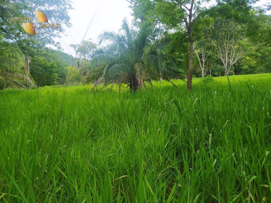 Fazenda de 100 ha em Cuiabá, MT