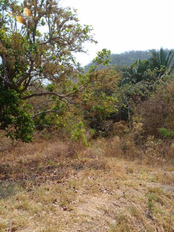 Fazenda de 100 ha em Cuiabá, MT