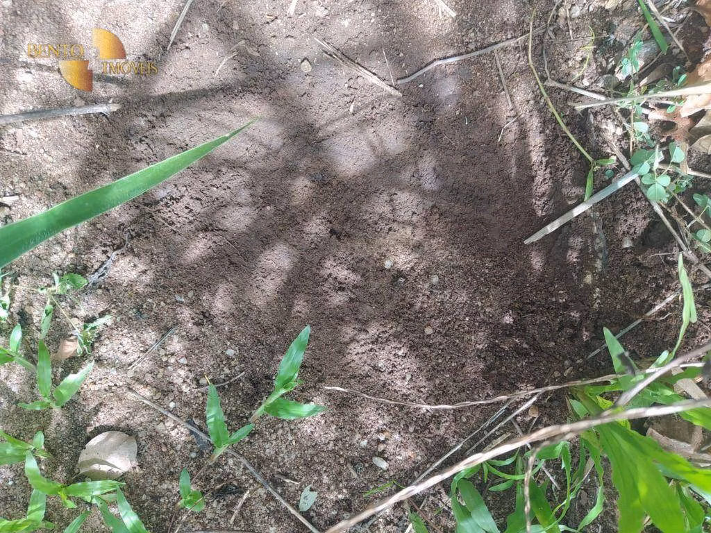 Fazenda de 100 ha em Cuiabá, MT