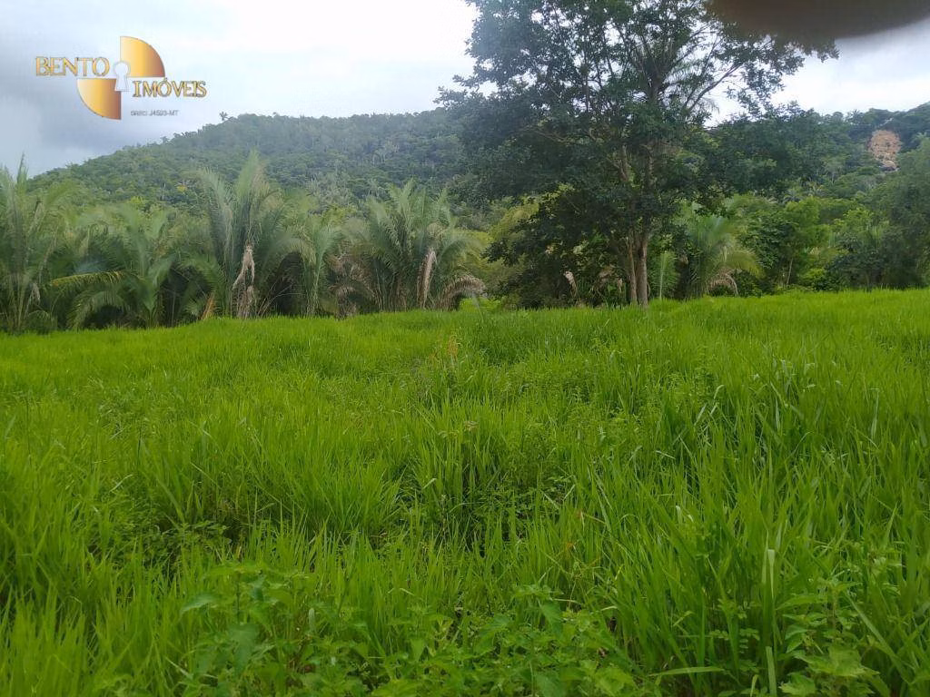 Fazenda de 100 ha em Cuiabá, MT