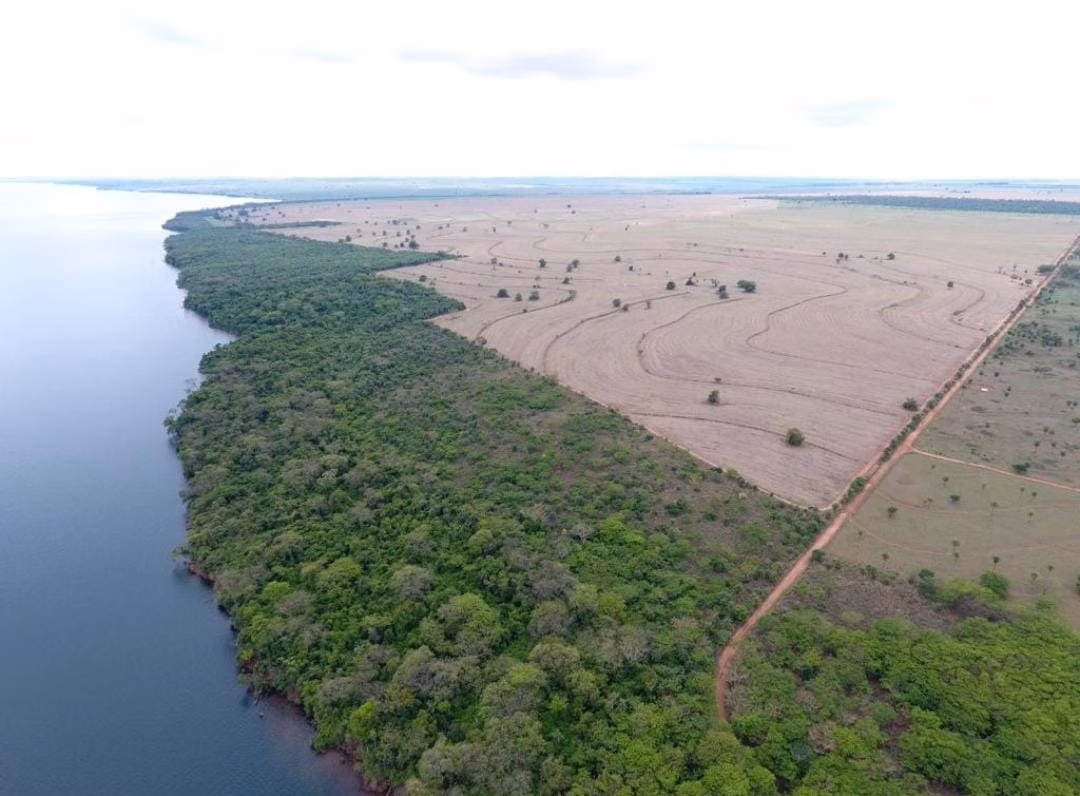 Fazenda de 1.689 ha em Teodoro Sampaio, SP