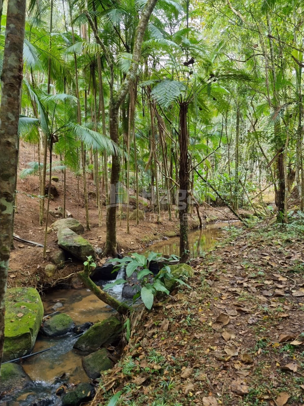 Country home of 1 acres in Nova Trento, SC, Brazil