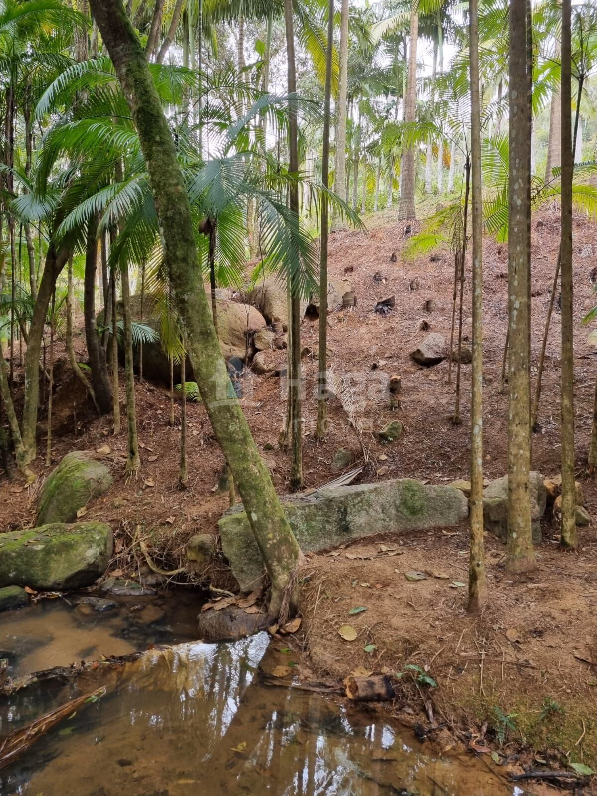 Country home of 1 acres in Nova Trento, SC, Brazil