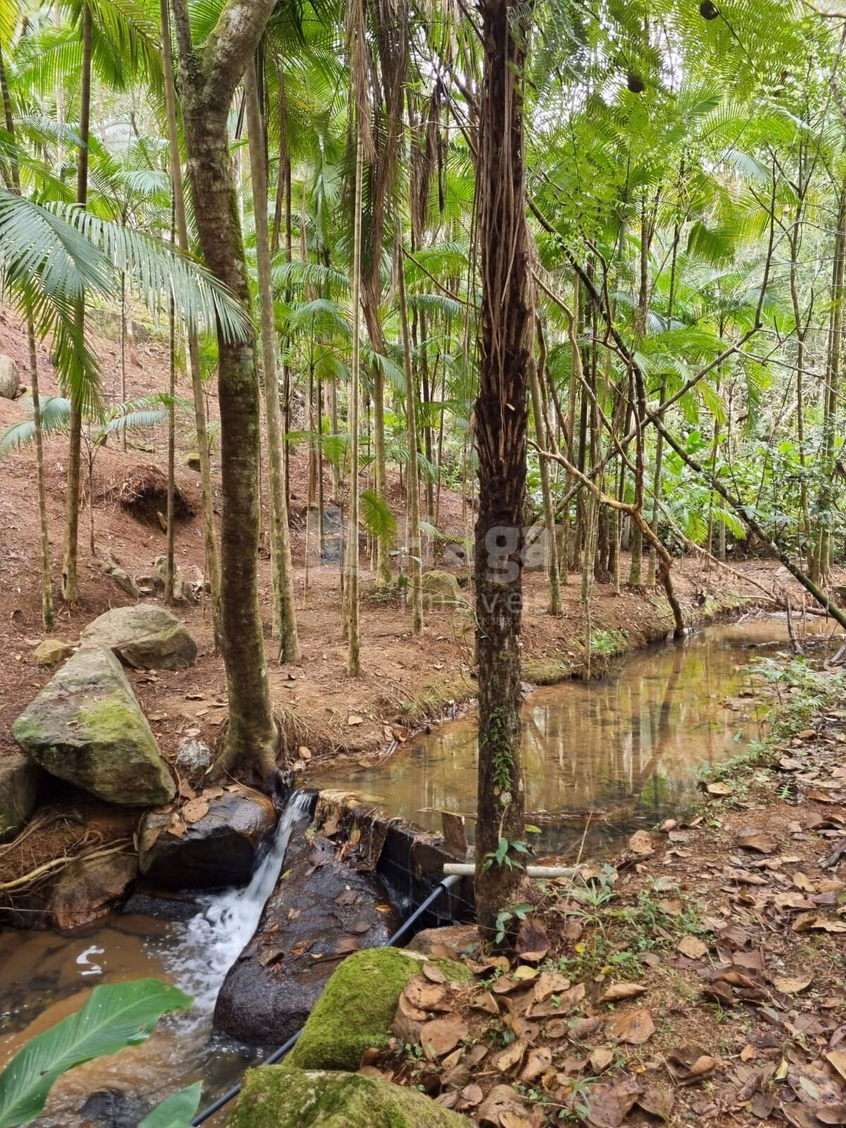 Country home of 1 acres in Nova Trento, SC, Brazil