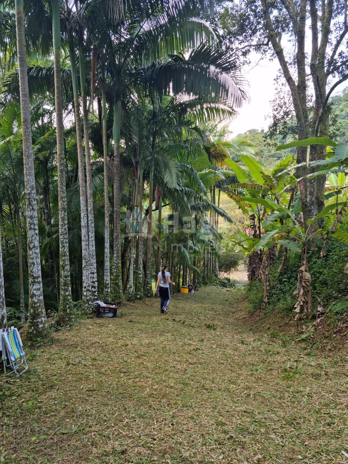 Country home of 1 acres in Nova Trento, SC, Brazil