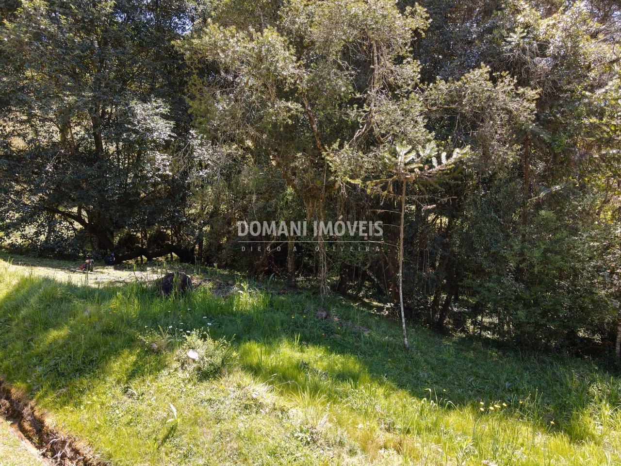 Plot of 1,530 m² in Campos do Jordão, SP, Brazil