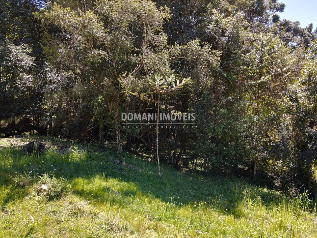 Terreno de 1.530 m² em Campos do Jordão, SP