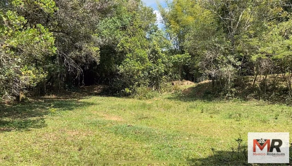 Small farm of 119 acres in São Gonçalo do Sapucaí, MG, Brazil