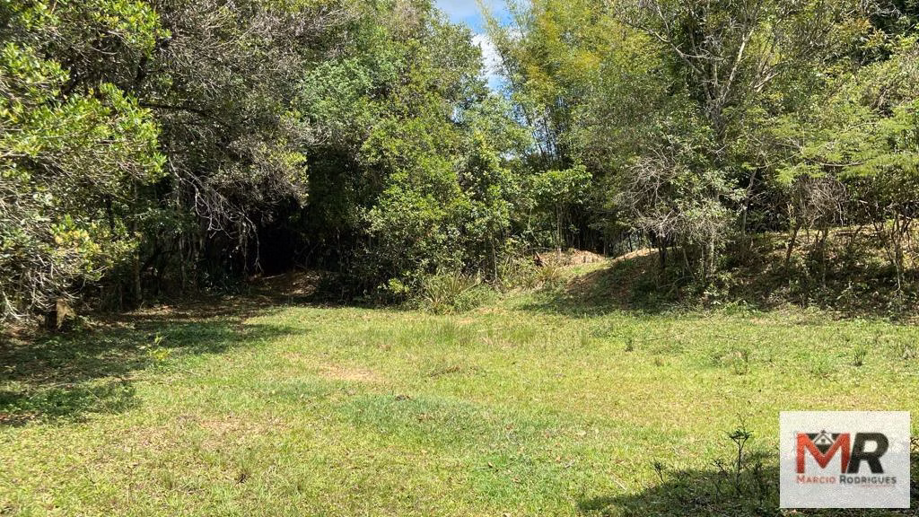 Small farm of 119 acres in São Gonçalo do Sapucaí, MG, Brazil