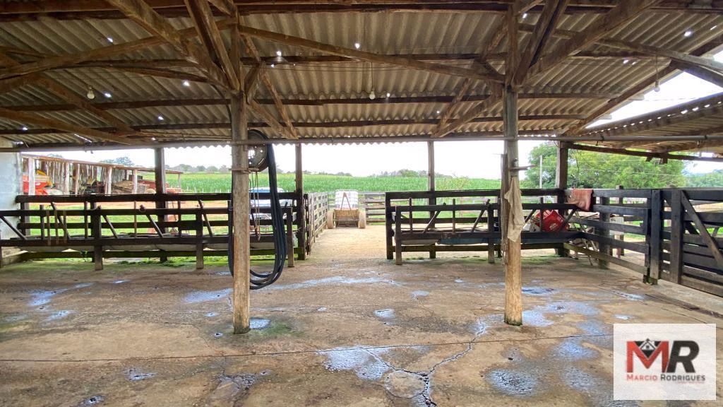 Small farm of 119 acres in São Gonçalo do Sapucaí, MG, Brazil