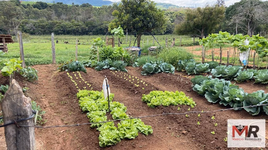 Sítio de 48 ha em São Gonçalo do Sapucaí, MG