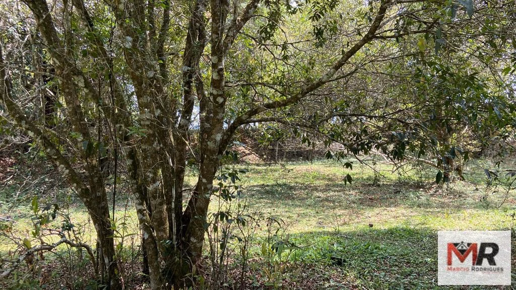 Sítio de 48 ha em São Gonçalo do Sapucaí, MG