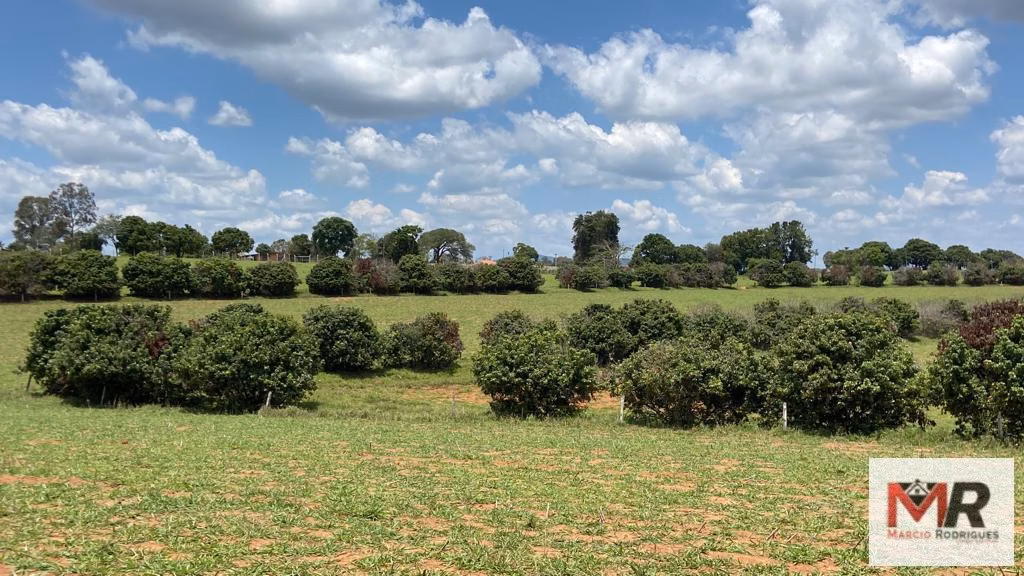 Small farm of 119 acres in São Gonçalo do Sapucaí, MG, Brazil