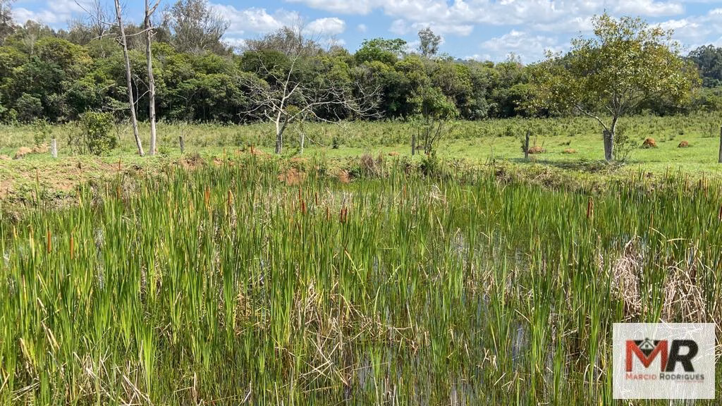 Sítio de 48 ha em São Gonçalo do Sapucaí, MG
