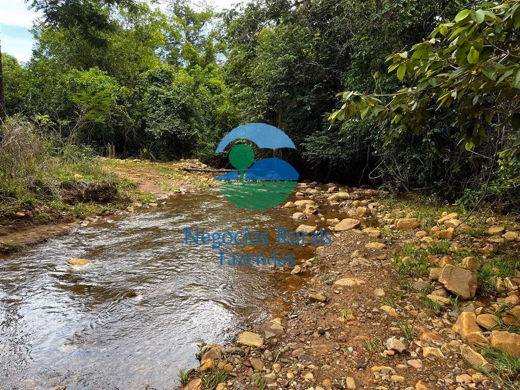 Fazenda de 1.510 ha em São João d'Aliança, GO
