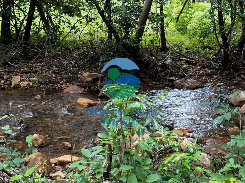 Fazenda de 1.510 ha em São João d'Aliança, GO