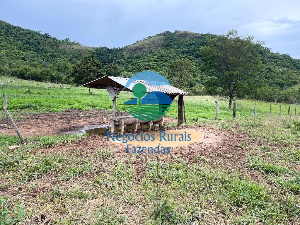 Fazenda de 1.510 ha em São João d'Aliança, GO
