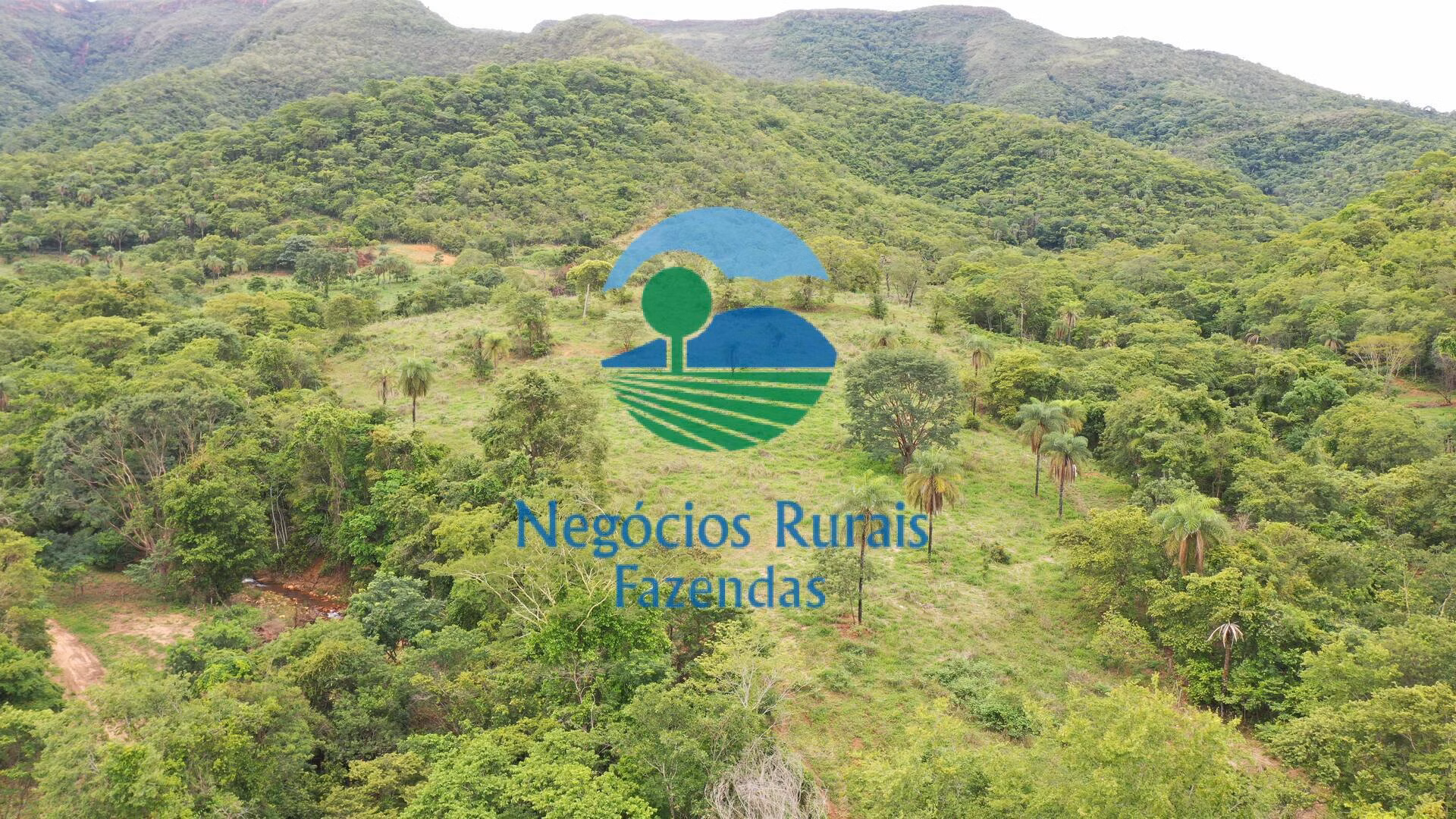 Fazenda de 1.510 ha em São João d'Aliança, GO