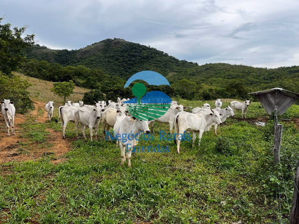 Fazenda de 1.510 ha em São João d'Aliança, GO