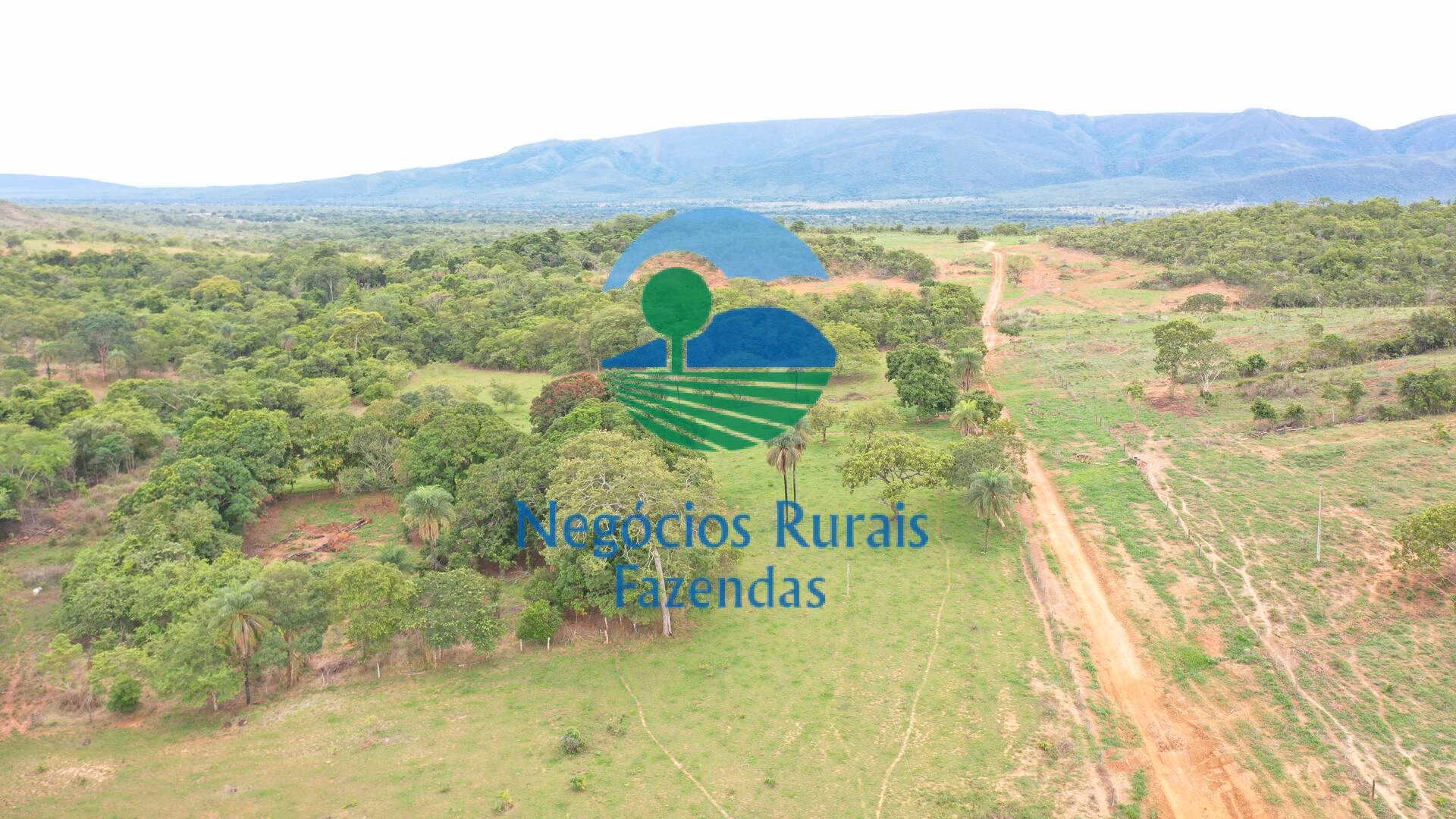 Fazenda de 1.510 ha em São João d'Aliança, GO