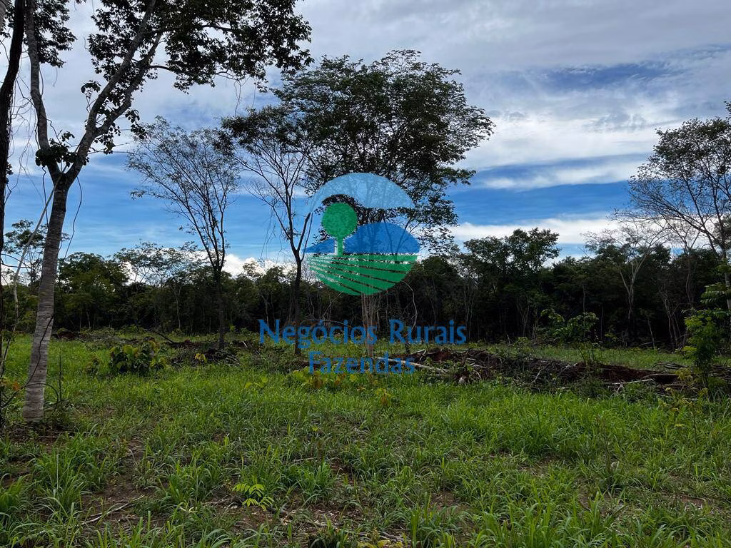 Fazenda de 1.510 ha em São João d'Aliança, GO