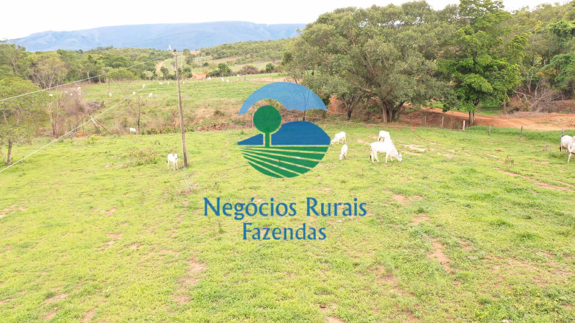 Fazenda de 1.510 ha em São João d'Aliança, GO
