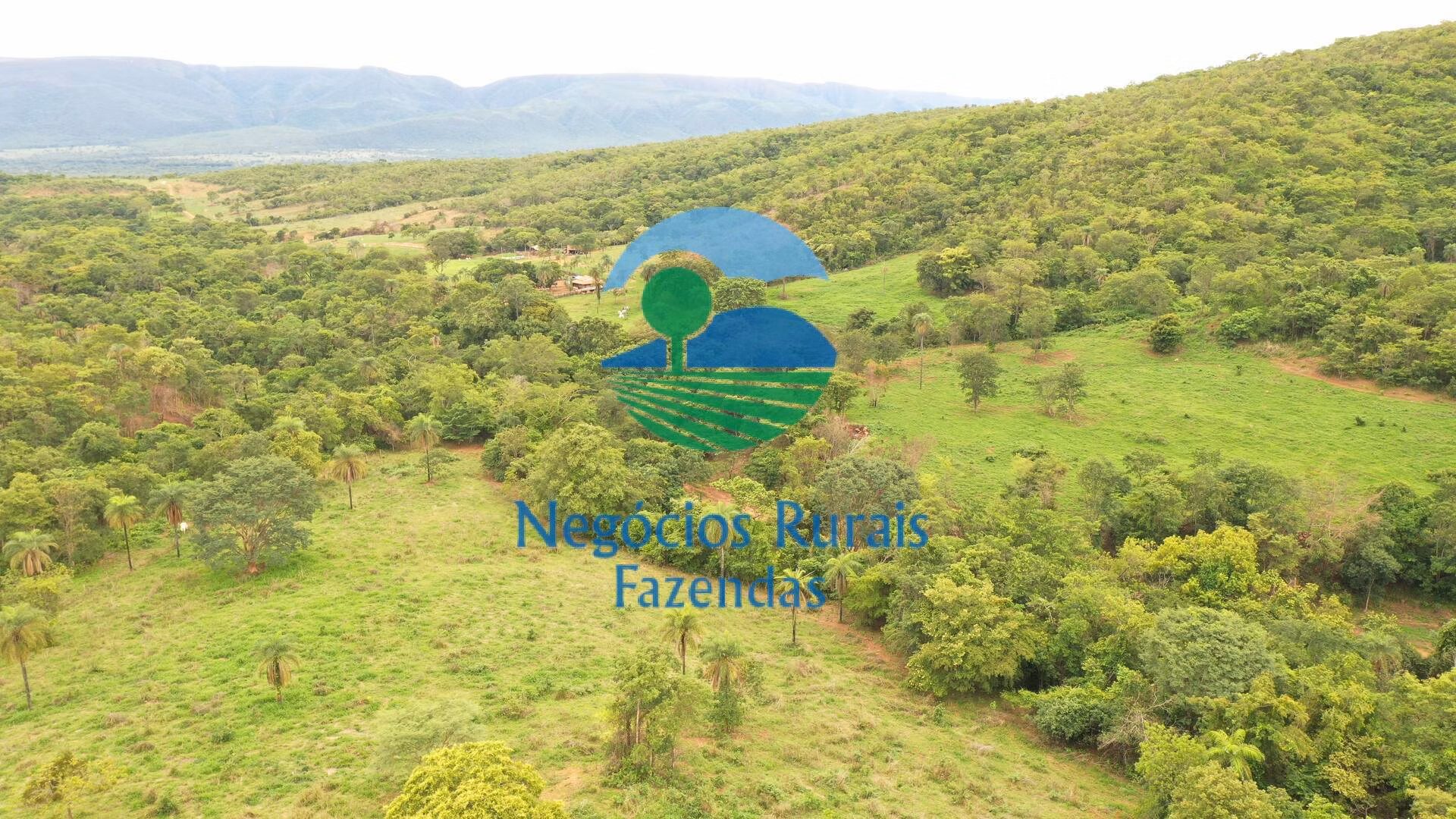 Fazenda de 1.510 ha em São João d'Aliança, GO