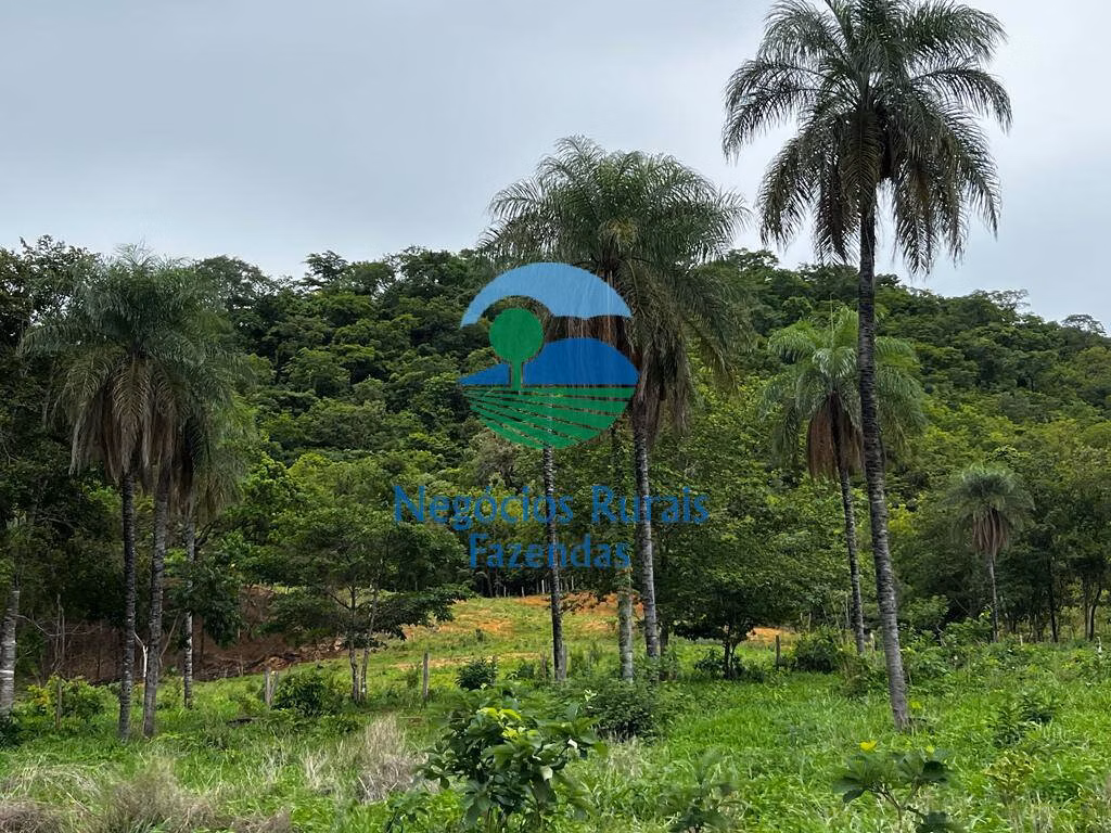 Fazenda de 1.510 ha em São João d'Aliança, GO