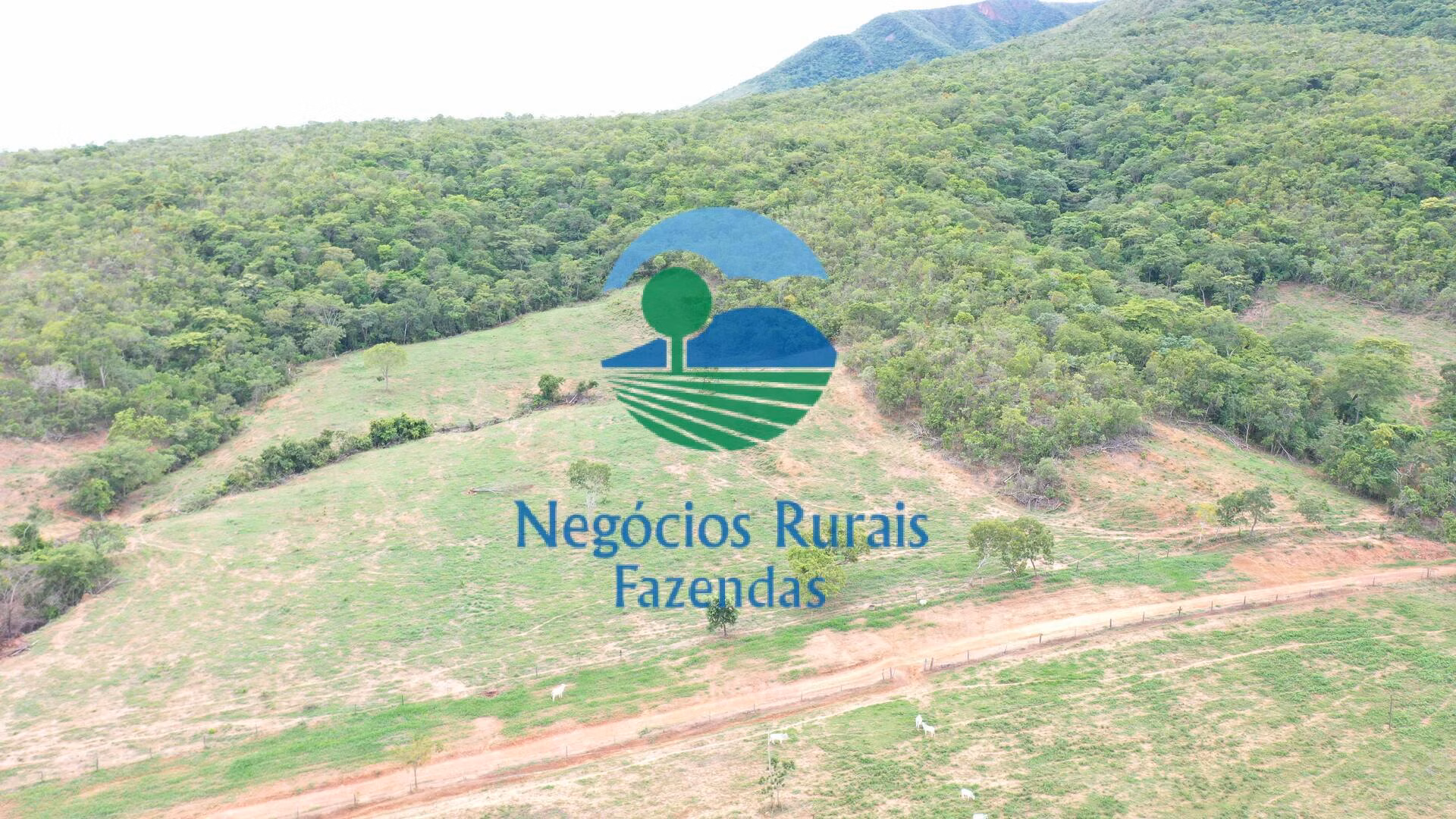 Fazenda de 1.510 ha em São João d'Aliança, GO