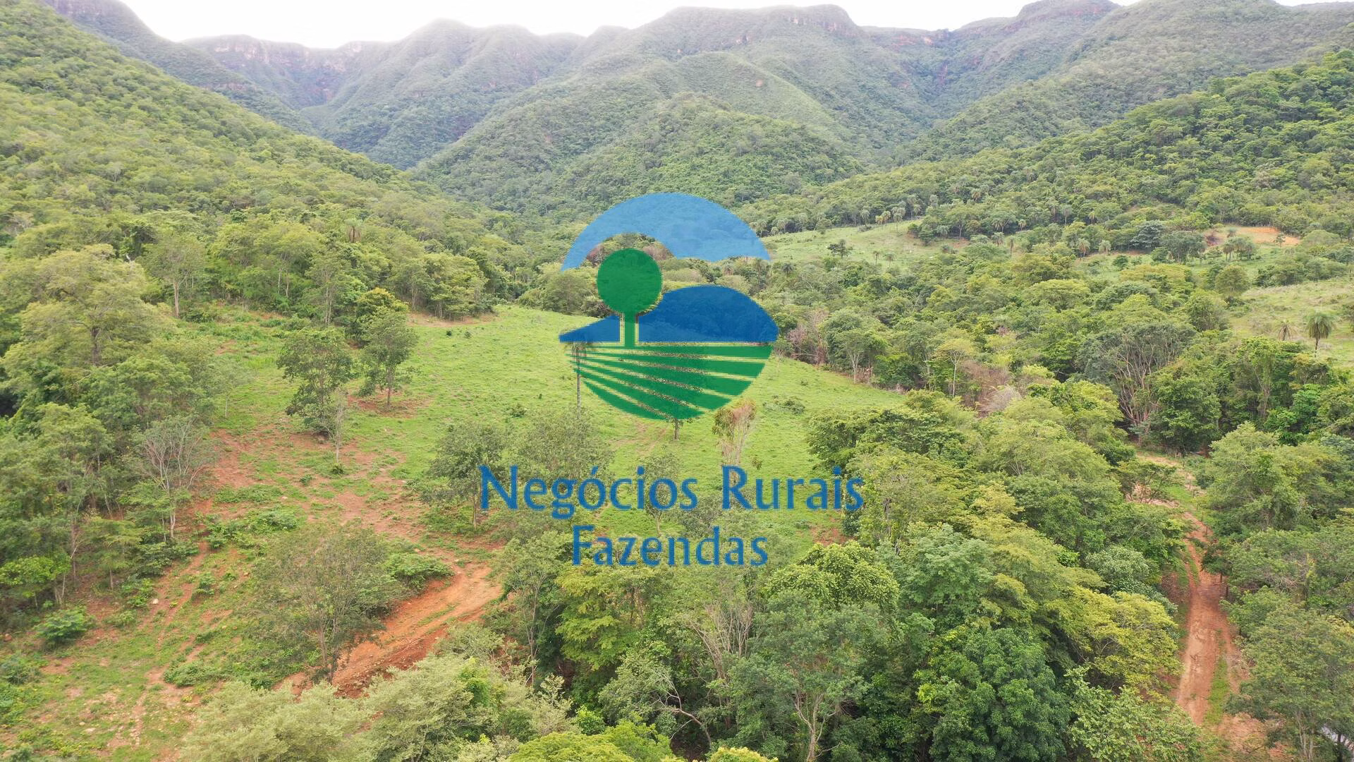 Fazenda de 1.510 ha em São João d'Aliança, GO