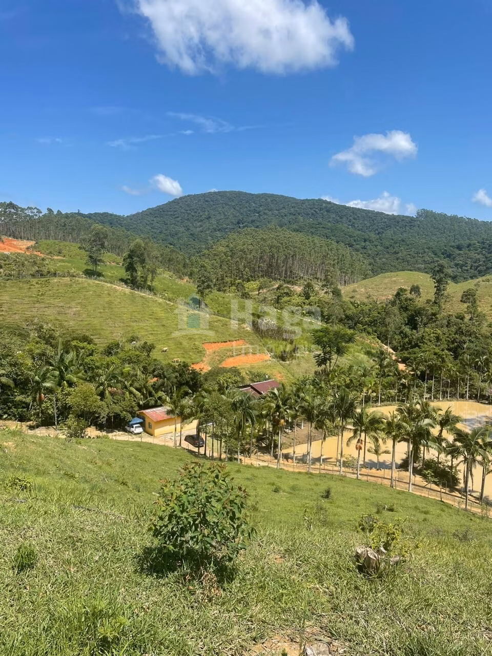 Chácara de 13 ha em Canelinha, SC