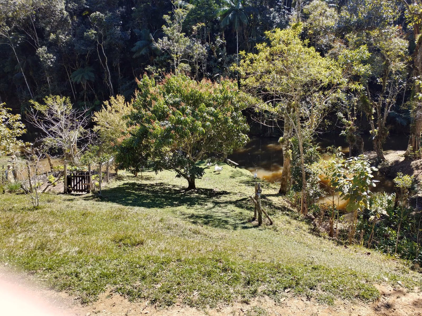 Chácara de 4 ha em Monteiro Lobato, SP