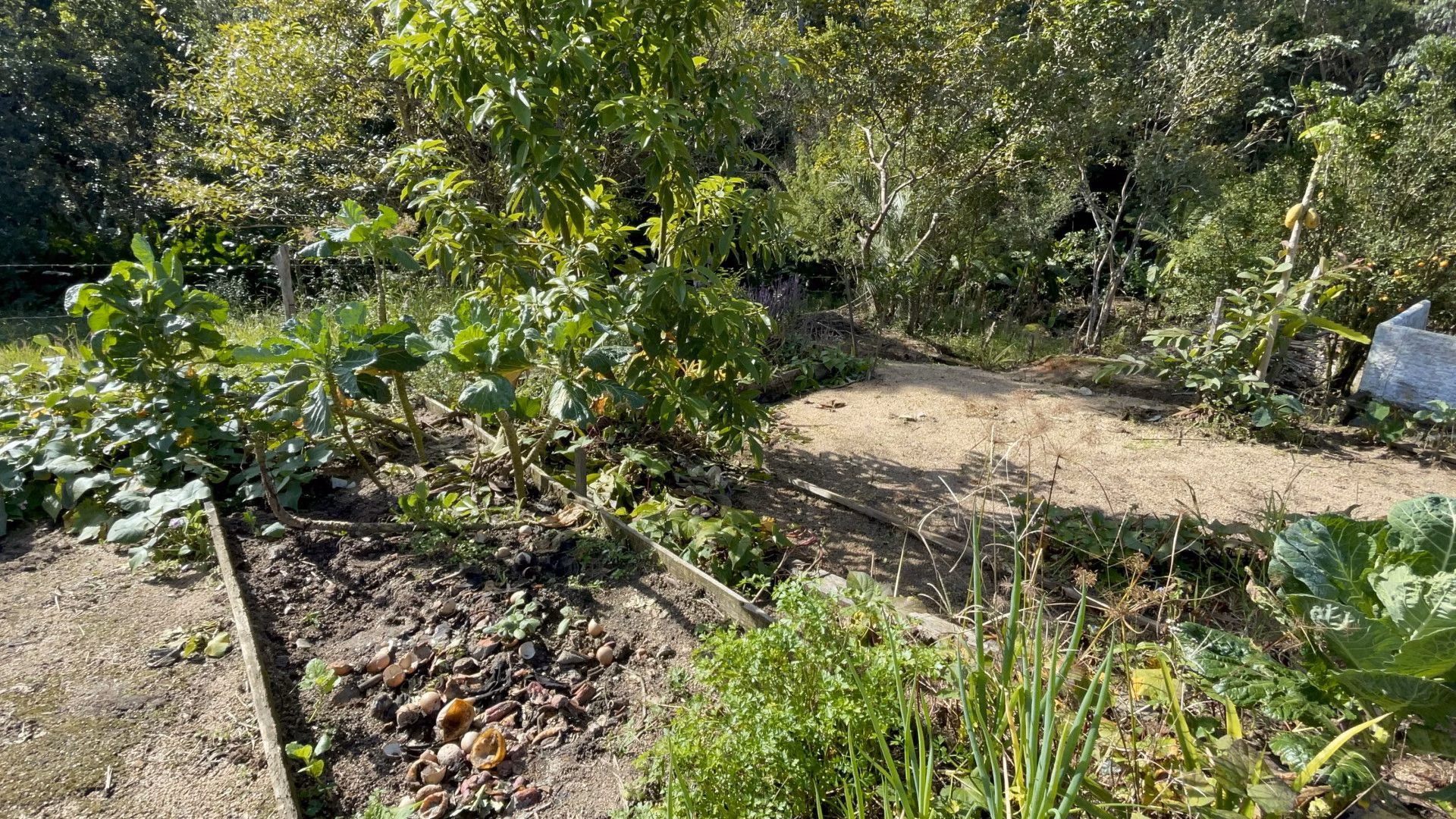 Chácara de 7.300 m² em Imaruí, SC