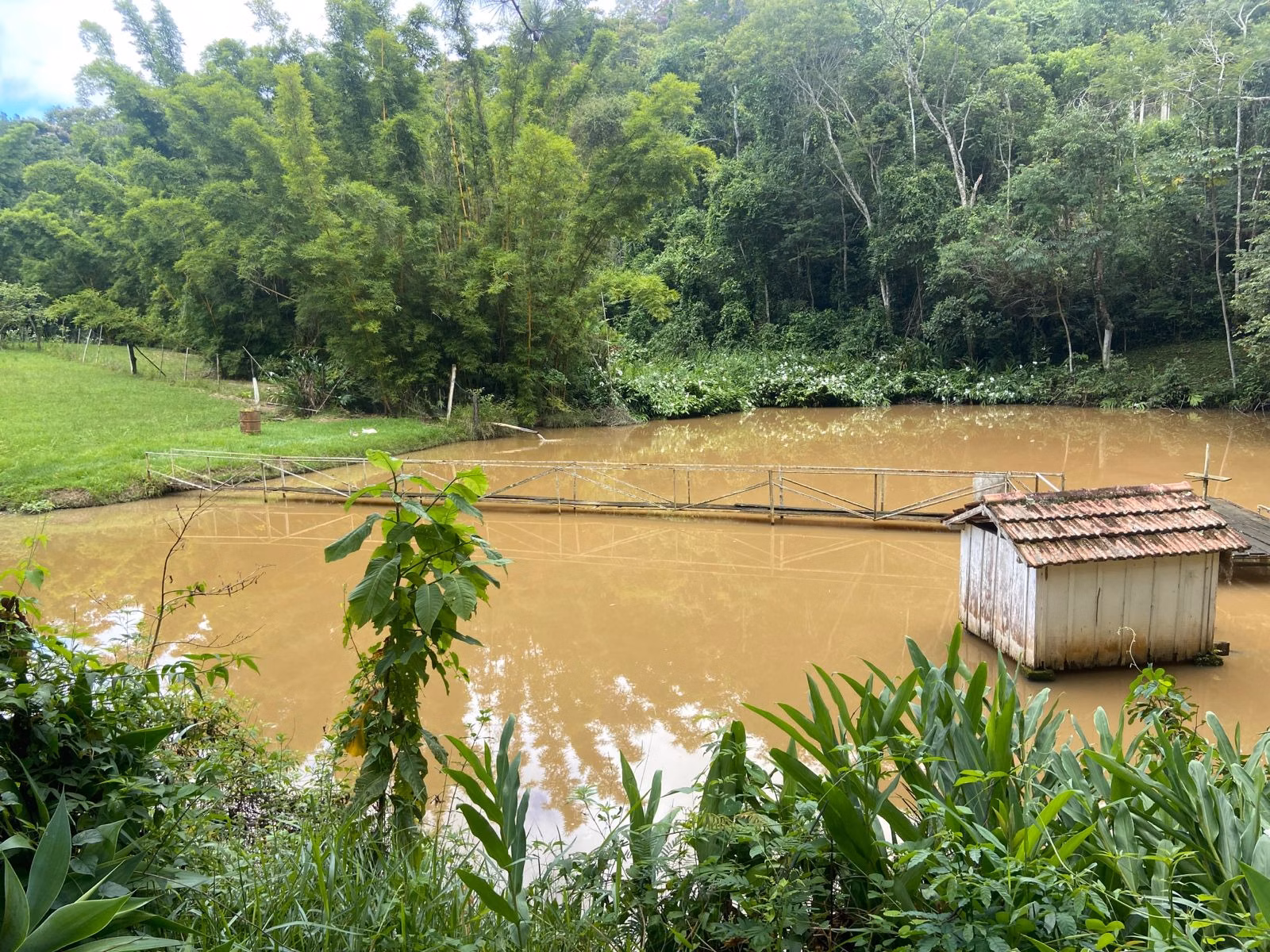 Chácara de 1 ha em Jambeiro, SP