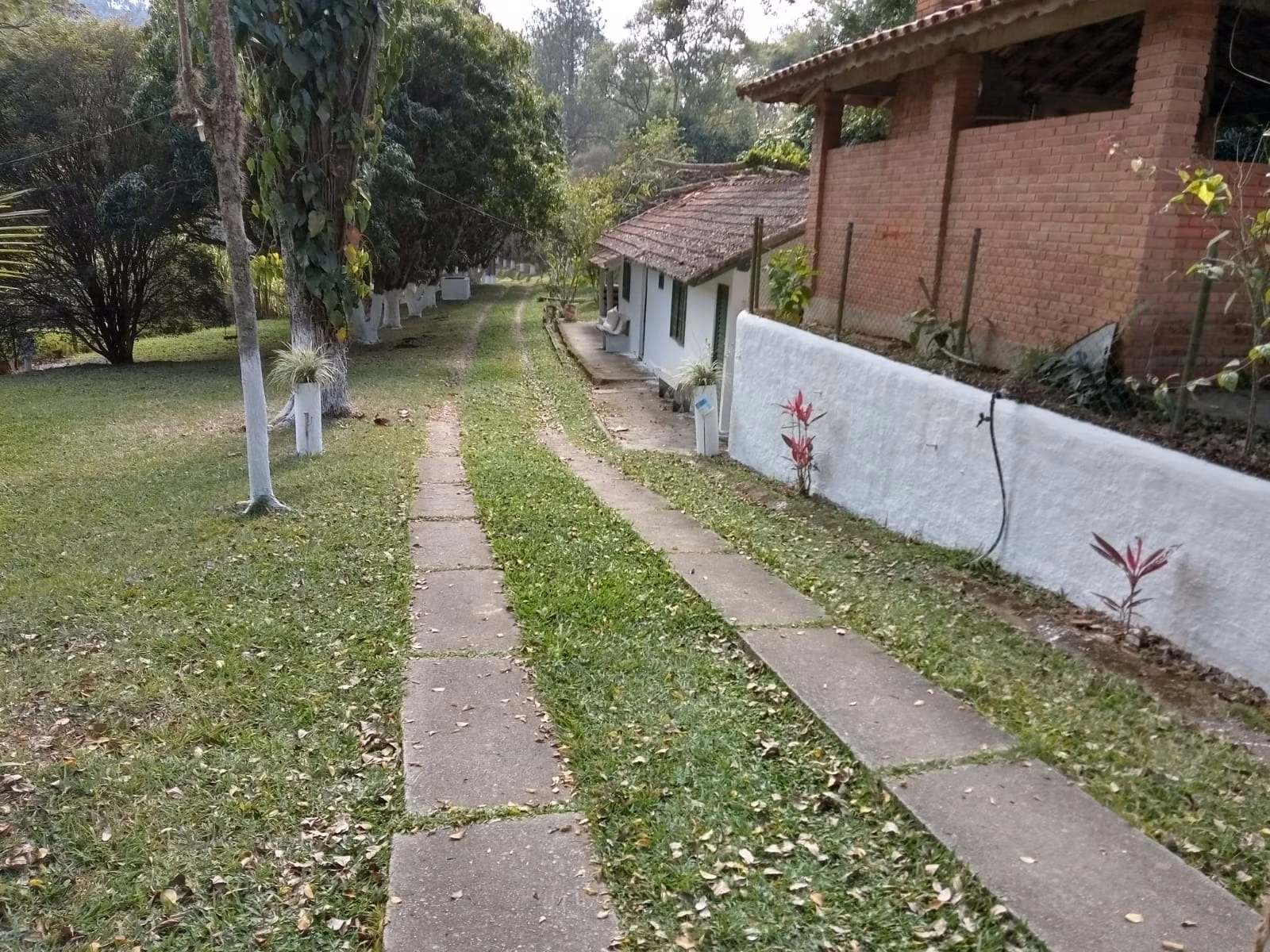 Chácara de 1 ha em Jambeiro, SP