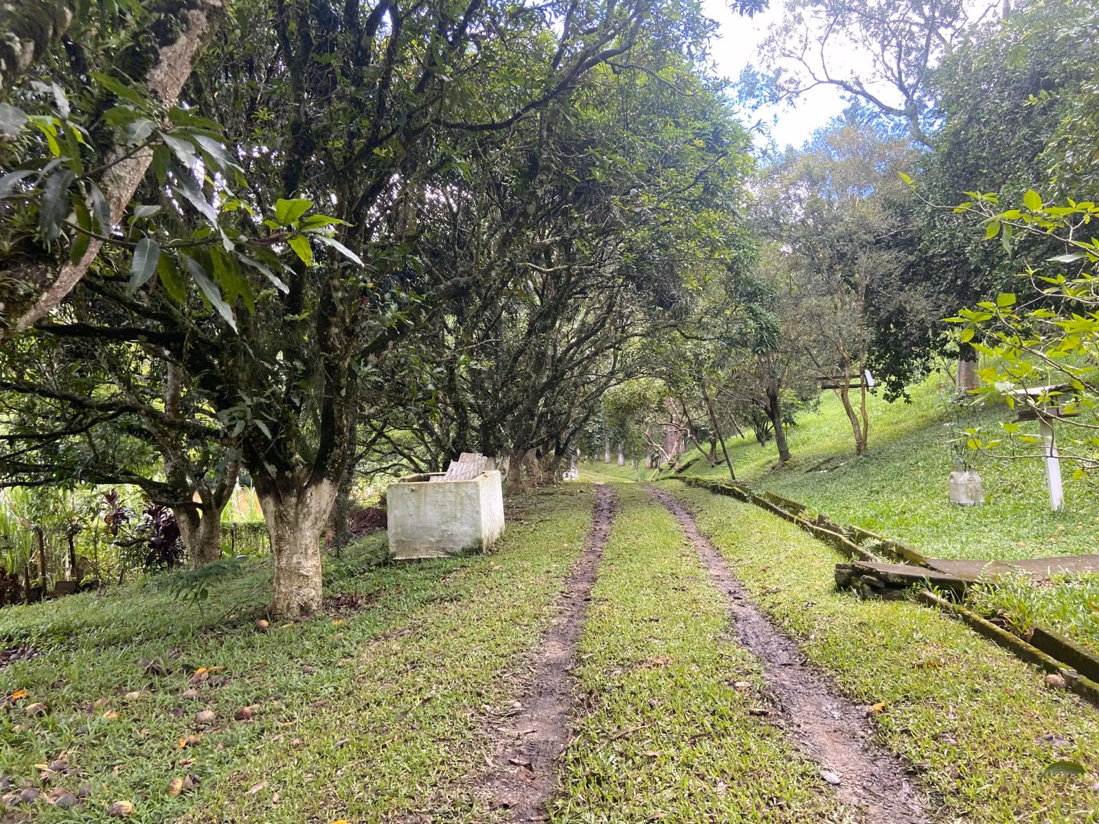 Chácara de 1 ha em Jambeiro, SP