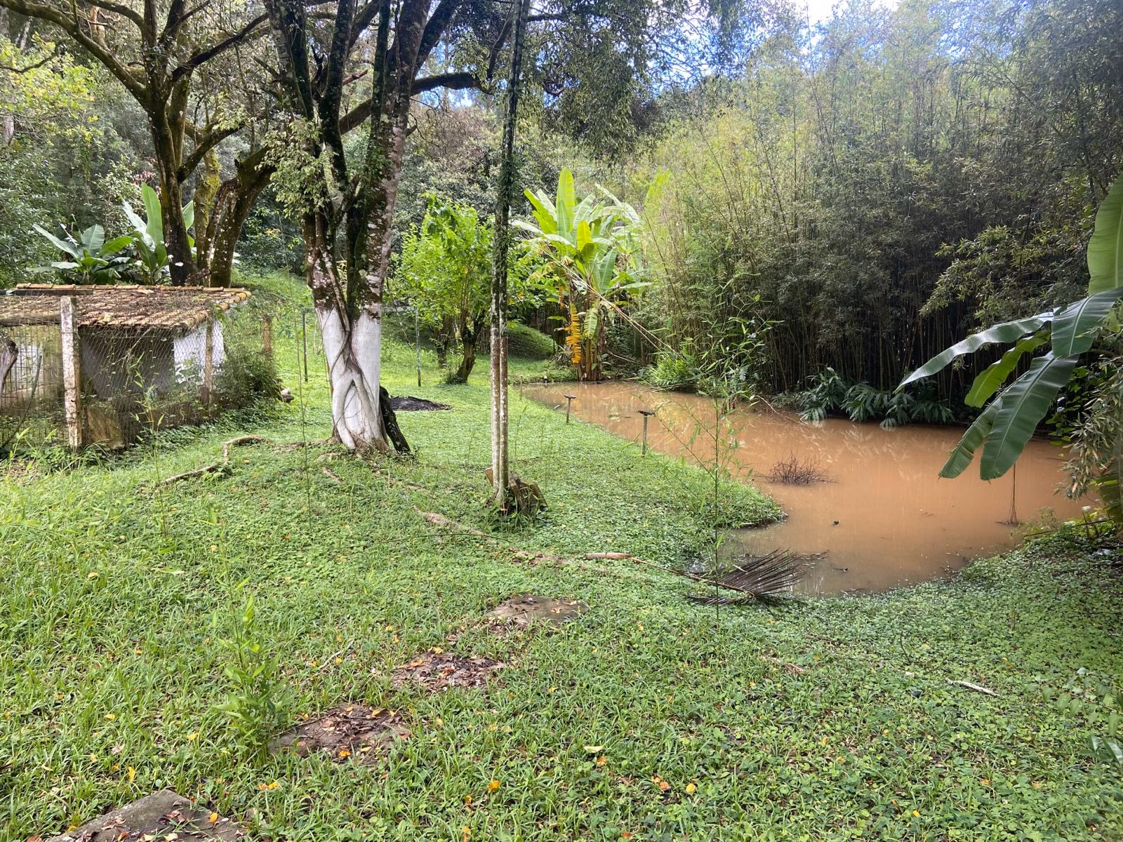 Chácara de 1 ha em Jambeiro, SP