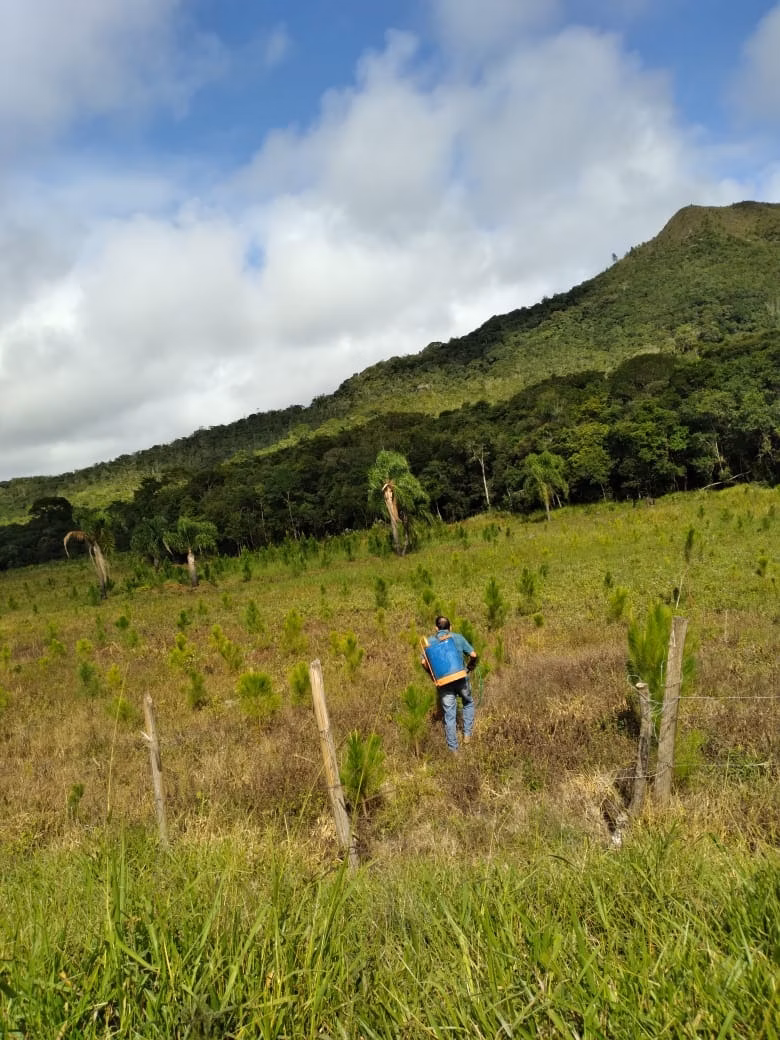 Fazenda de 169 ha em Guapiara, SP