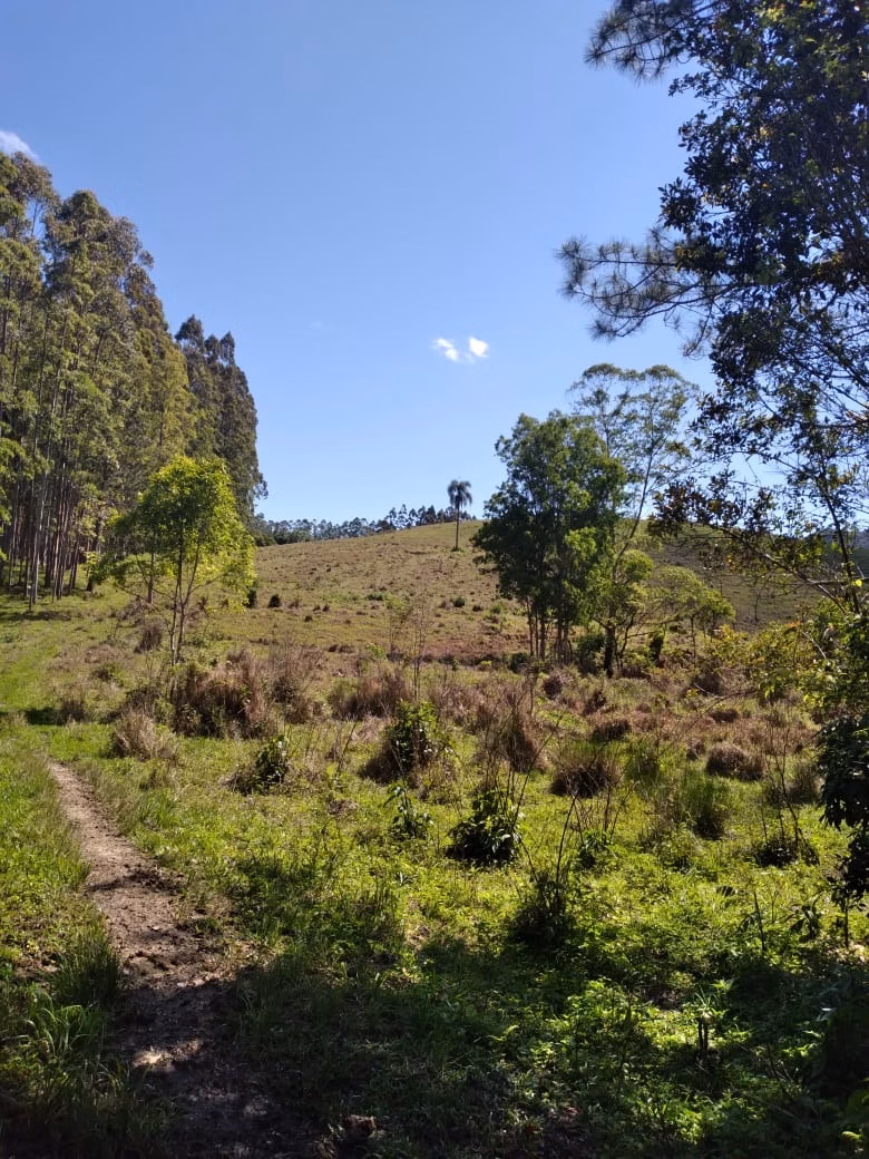 Fazenda de 169 ha em Guapiara, SP