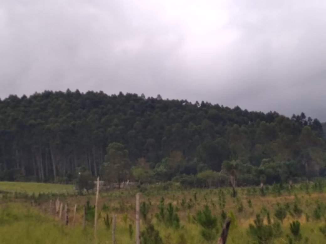 Fazenda de 169 ha em Guapiara, SP