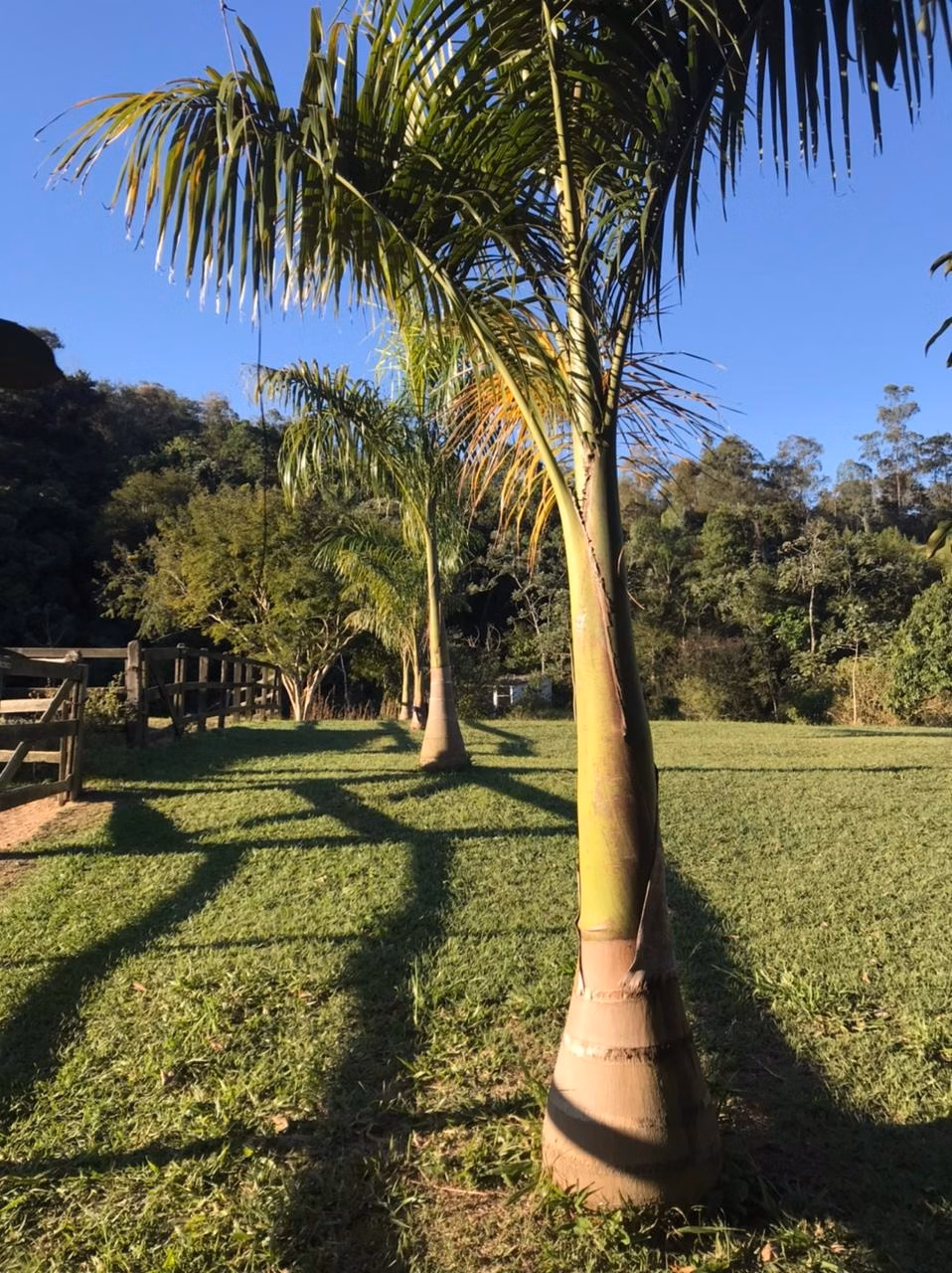 Fazenda de 100 ha em Resende, RJ